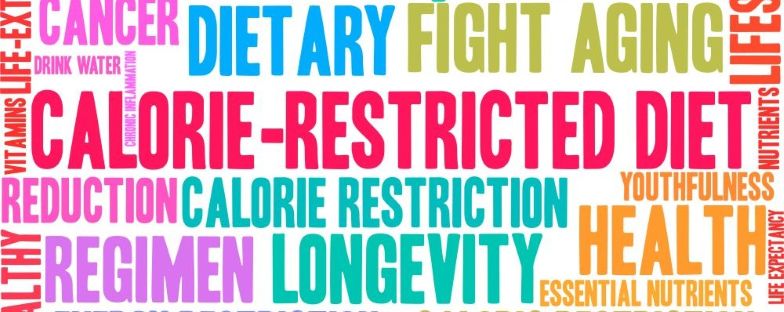 How Reduced Caloric Intake Might Lead to a Longer Life