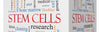The Role of Stem Cells in Bone Regeneration