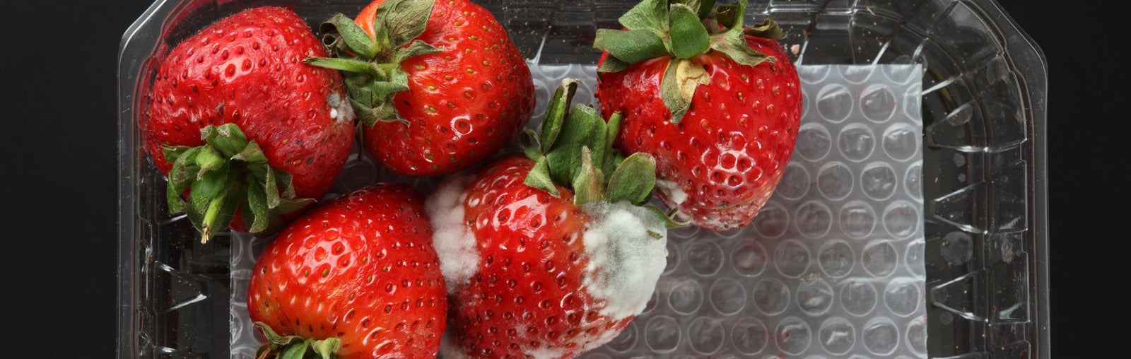 Moldy Foods May Be Unsafe Even After It’s Cut Away
