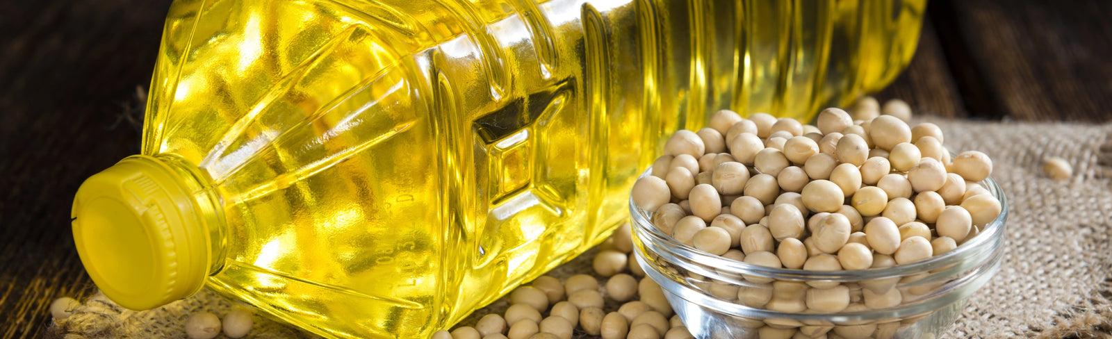 Soybean Oil has a Hidden Link to Obesity