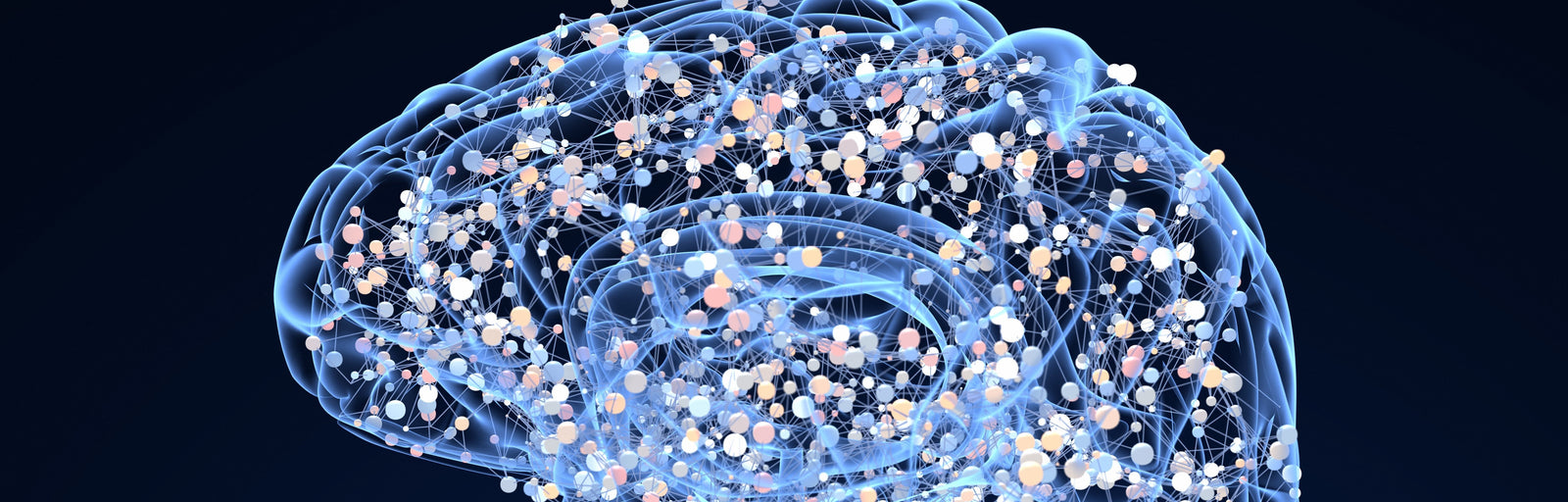 Reversing Aging in Brain Cells