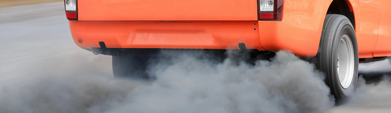 Is Air Pollution Toxic to your Immune System?