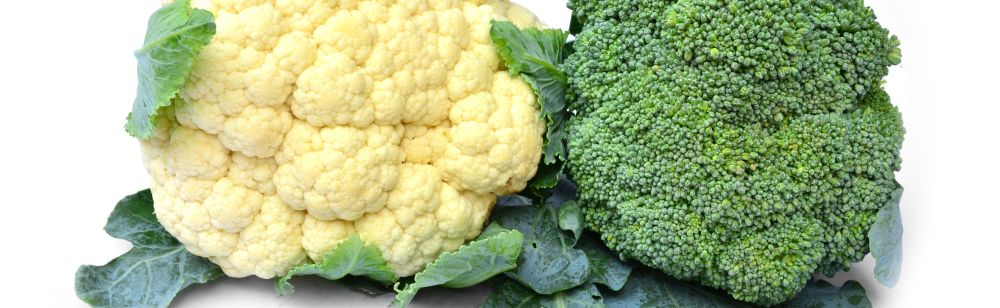 The Best Vegetables for Blood Pressure Control