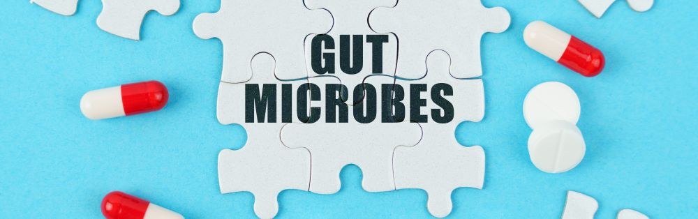 Long-Term Gut Changes After Medication Use