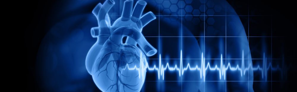 Type 2 Diabetes Transforms Heart Structure