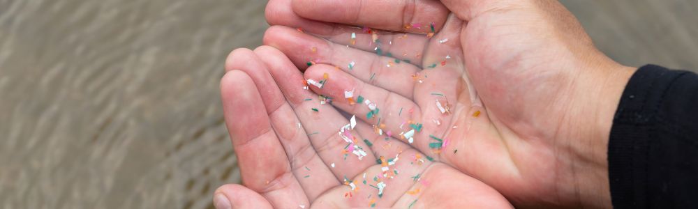 Microplastics in Bones Speed Up Aging and Weakening
