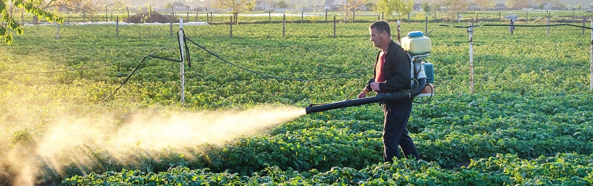 Major Study Finds Living Near Pesticides Raises Cancer Risk - Life Code