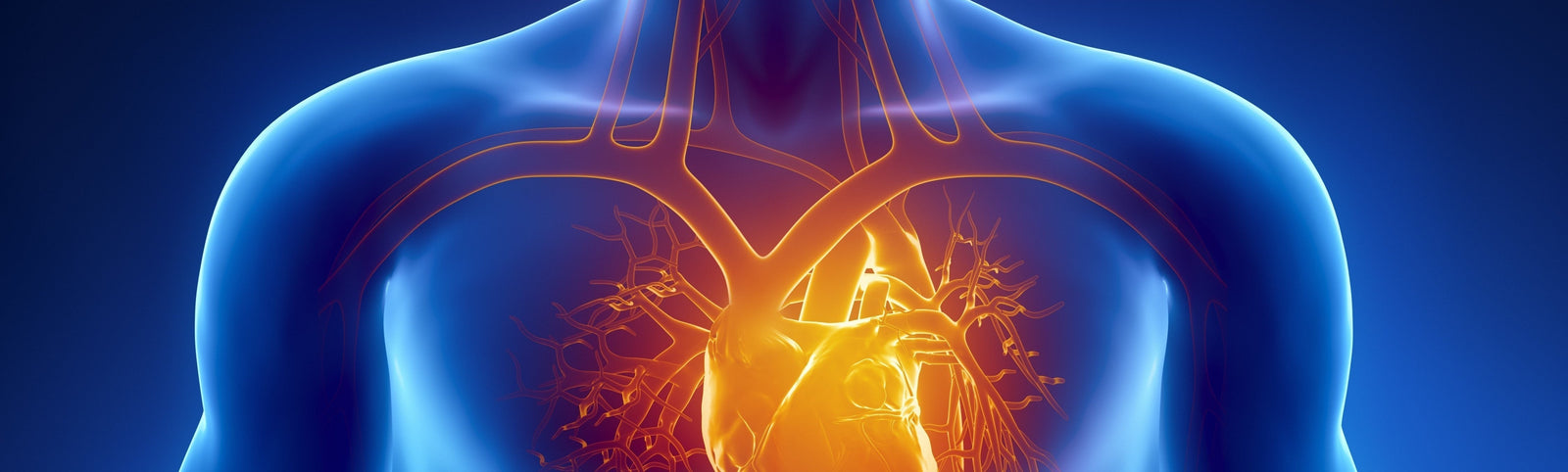 New Cell Discovery for Healing Hearts