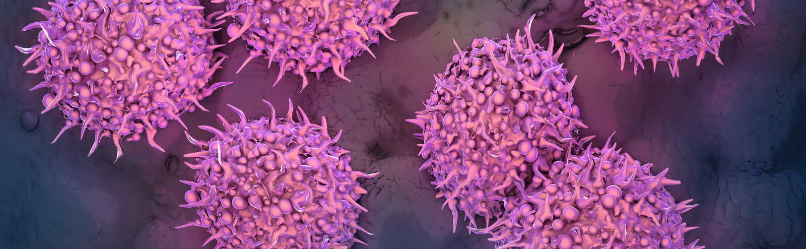 Nasal Spray Treats Early Alzheimer’s in Mice