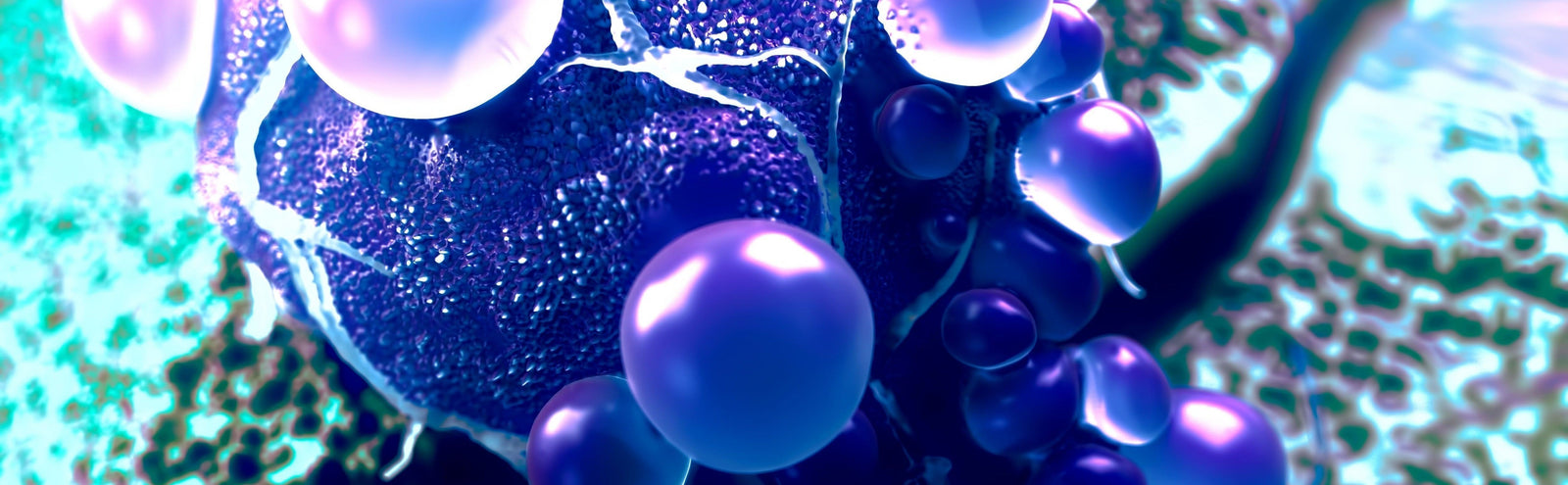 The Healing Power of Stem Cell Exosomes for Liver Diseases