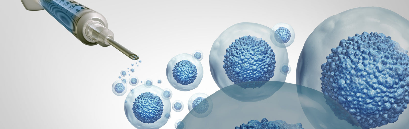 Young Stem Cells Could Help Preserve Health as We Age