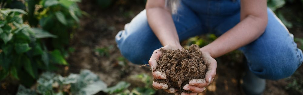 USDA Officially Recognizing Regenerative Agriculture