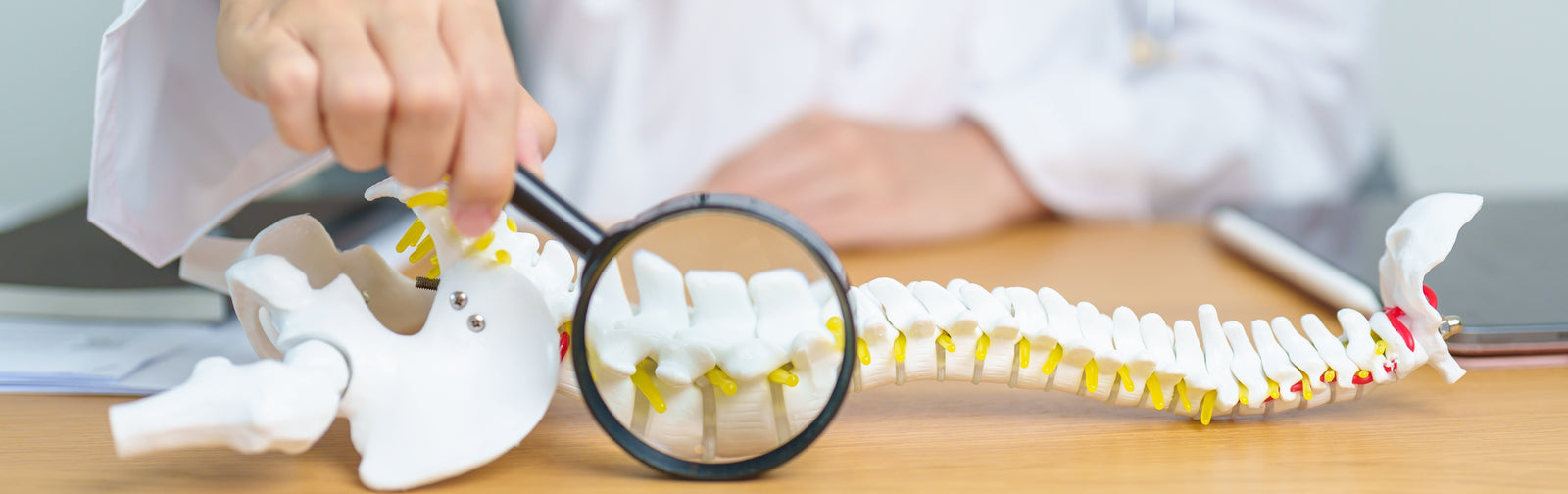 Could a Weaker Spine Signal Faster Cognitive Decline?