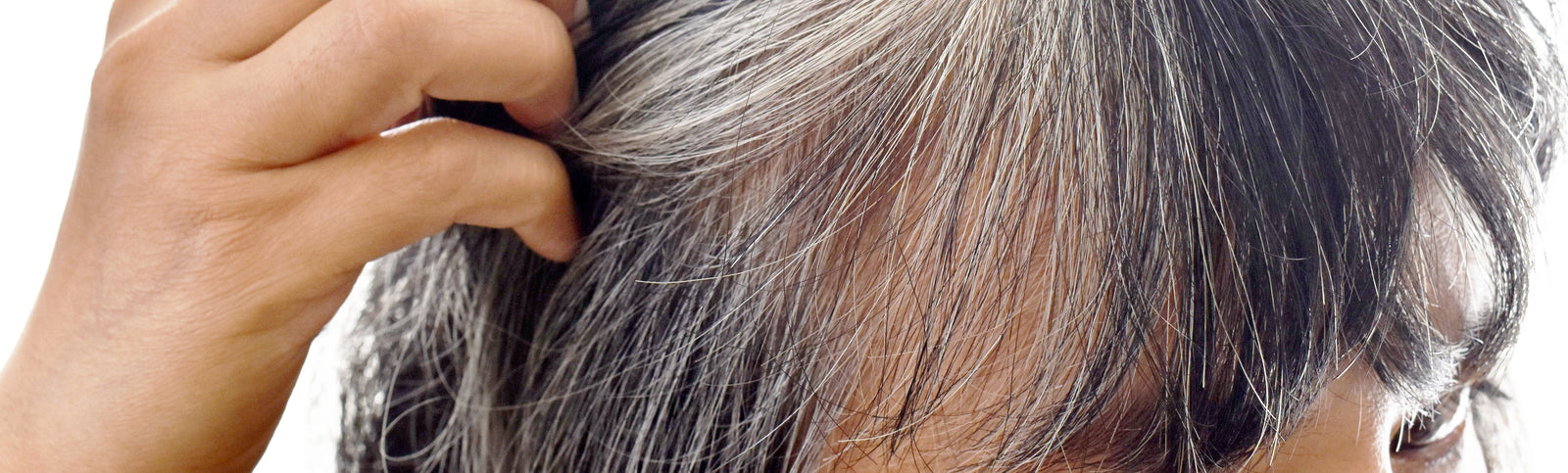 New Findings Suggest Gray Hair Can Be Reversed