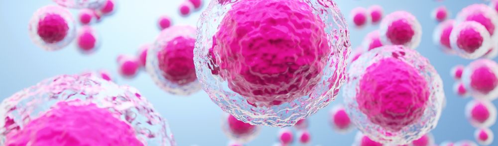 The Impact of Stem Cells on Immune Function