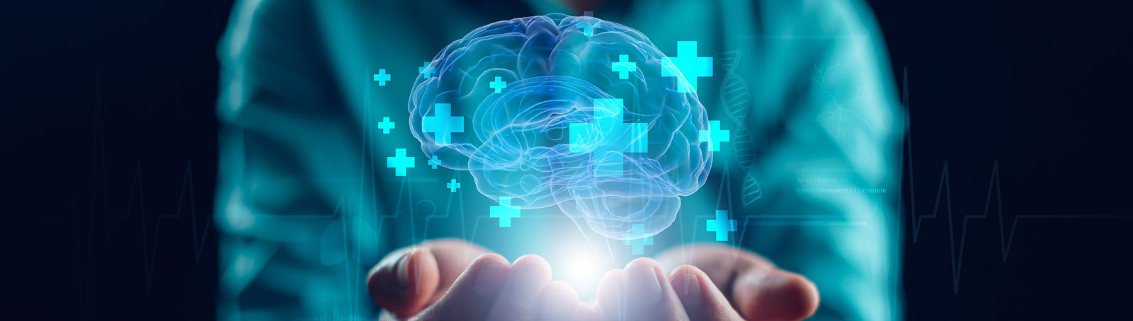 Researchers Identify a Powerful Predictor of Brain Aging