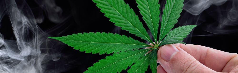 Cannabis Use Tied to Blood Vessel Damage Similar to Tobacco