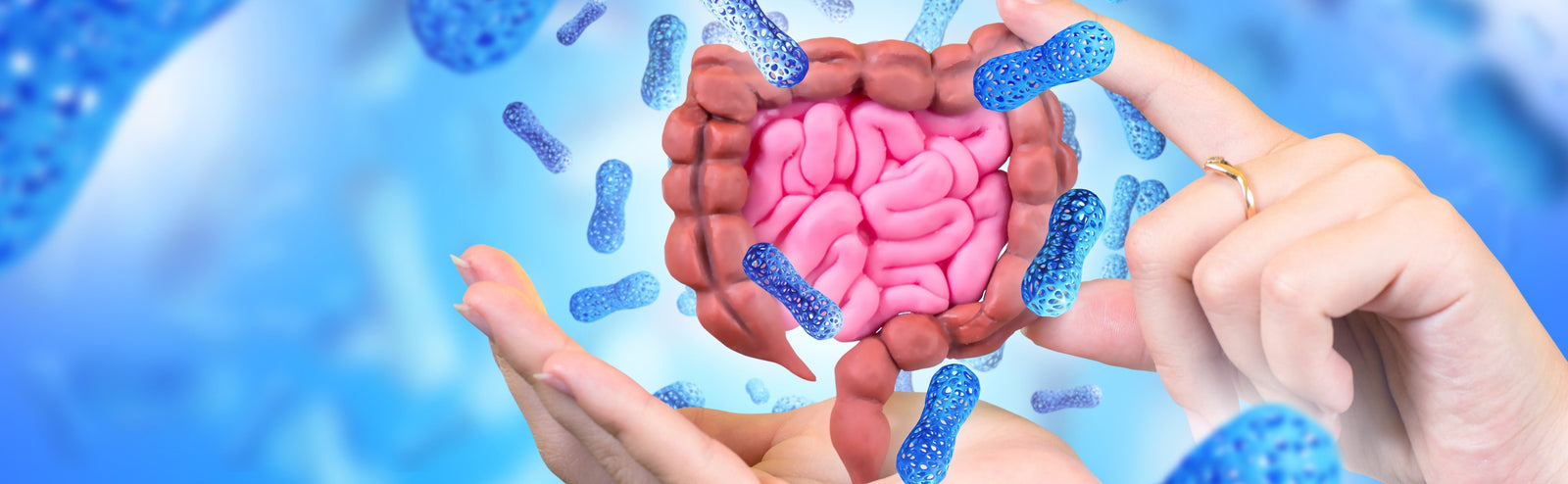 Your Gut Bacteria May Reveal How Fast You're Aging