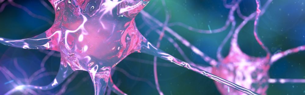 Cellular Memory Influences Health Outcomes