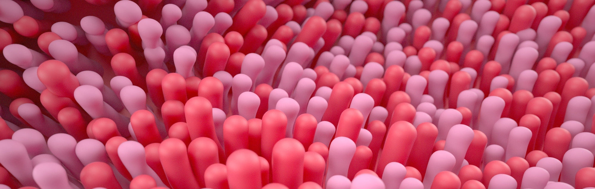 Immature Cells Can Become Stem Cells