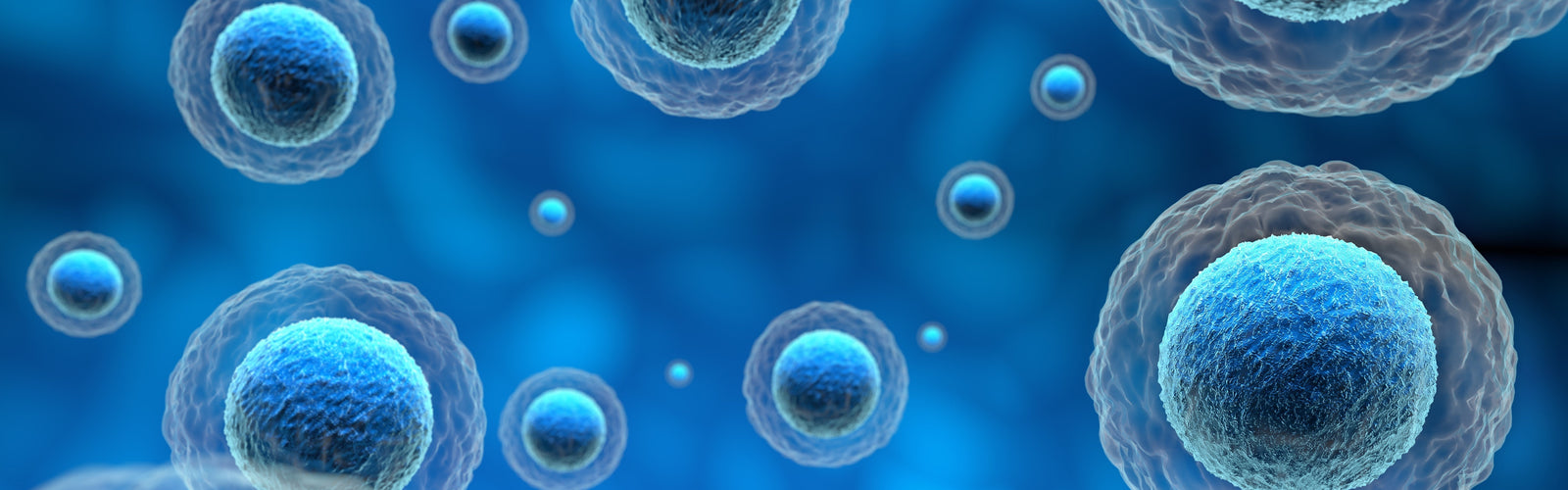 Organs are a Mix of New and Old Cells