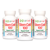 Stem Cell 100